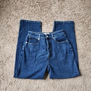 Everlane The Curvy Way High Jean Organic Cotton Size 29 Regular